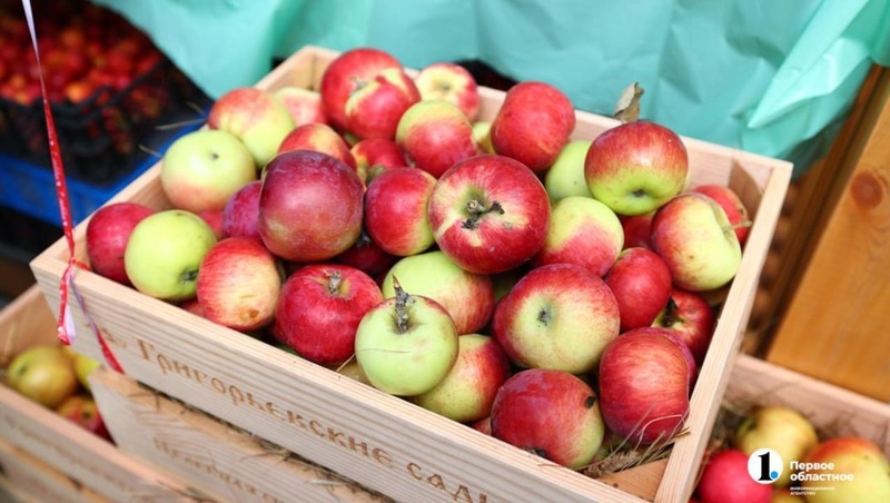 Рекордные 800 тонн яблок соберут на Южном Урале в этом году