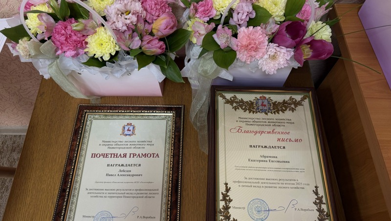 45 нижегородским охотоведам и лесникам вручили региональные награды за вклад в развитие отраслей