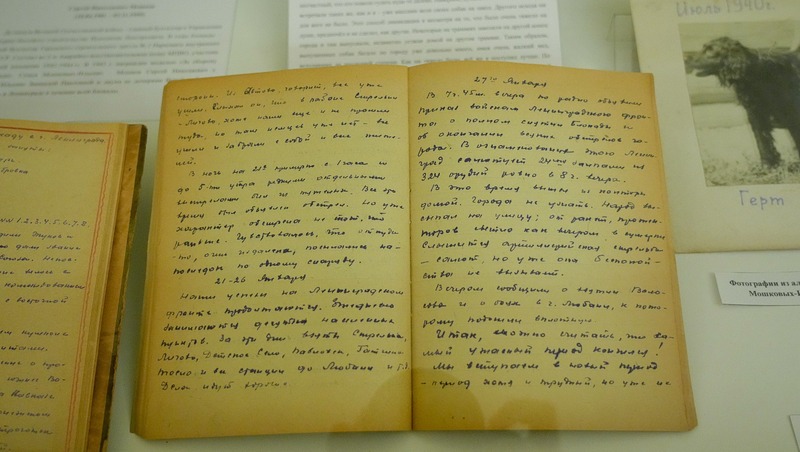 Выставка к 82-й годовщине освобождения Ленинграда открылась в Мариинском дворце Петербурга