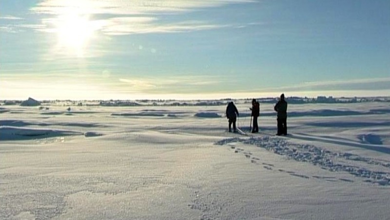 Адаптированные для строительства в условиях вечной мерзлоты сваи создали в Политехе