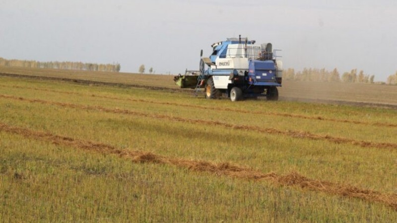 Доходы омских фермеров выросли почти в два раза за три года