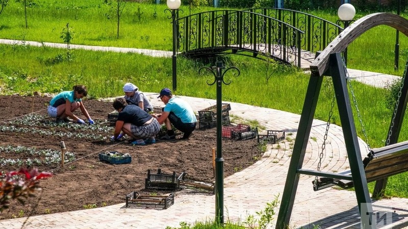 В парках Челнов в свободное от учебы время работают школьники и студенты