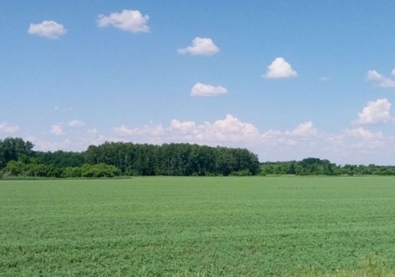 В Омской области усилен контроль за переводом сельхозземель