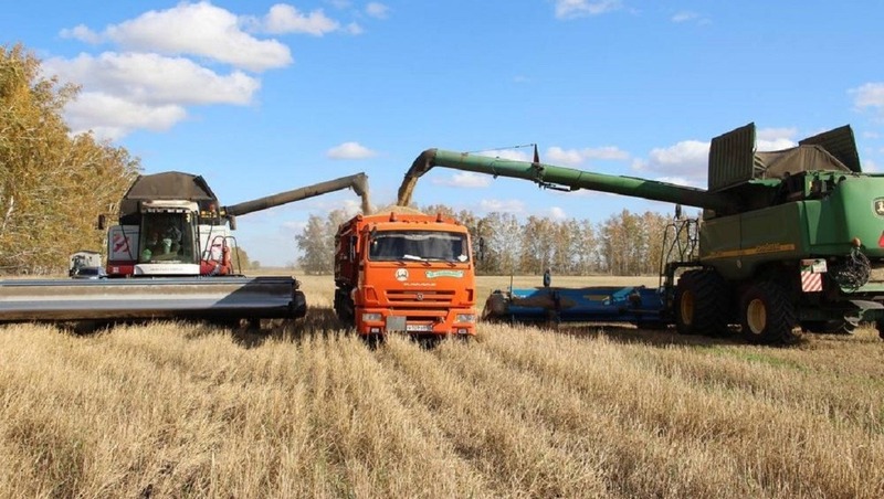 В Омской области намолотили более 1,3 млн тонн зерна