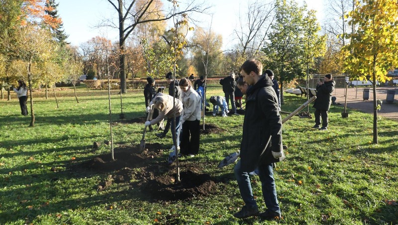 Более 18 тыс. саженцев деревьев и кустарников высадили в Рязанской области