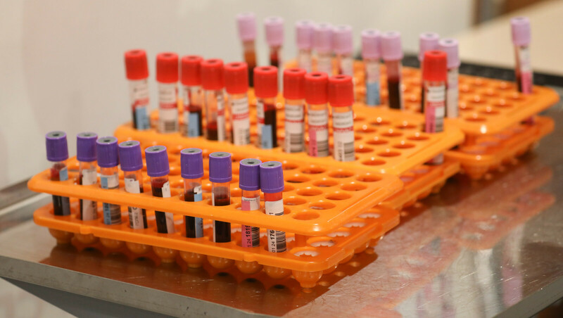 А.Беглов поздравил петербуржцев с Национальным Днём донора крови