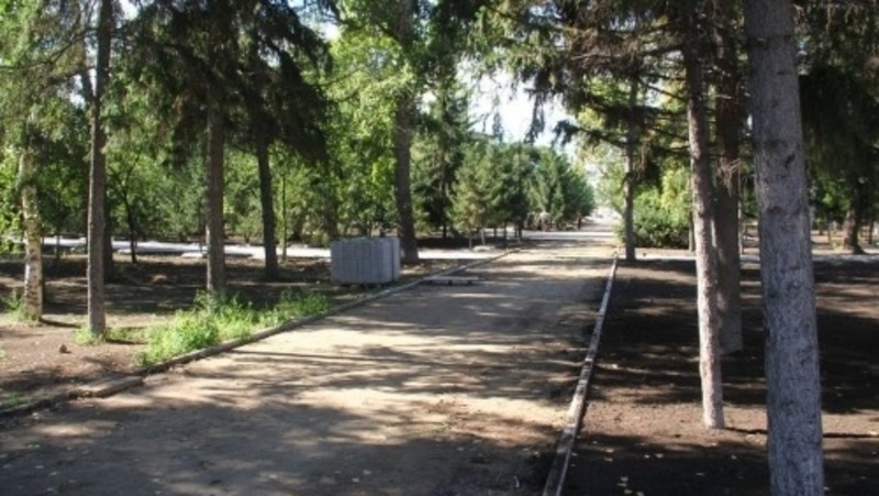 Новые деревья высадят у Театра юного зрителя в Омске
