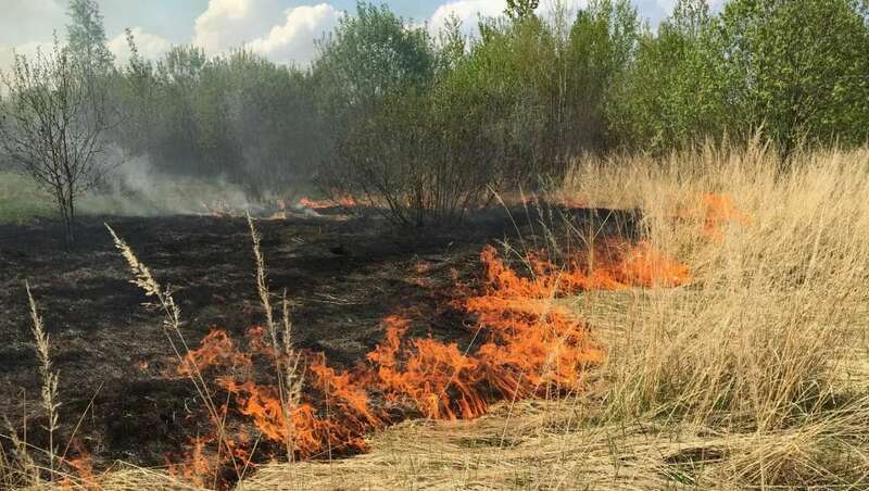 27 возгораний сухой травы произошло в Нижегородской области