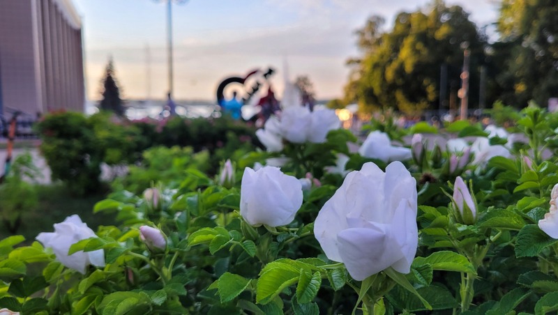 Фестиваль детского и юношеского творчества состоится с 28 по 31 октября в Самаре 