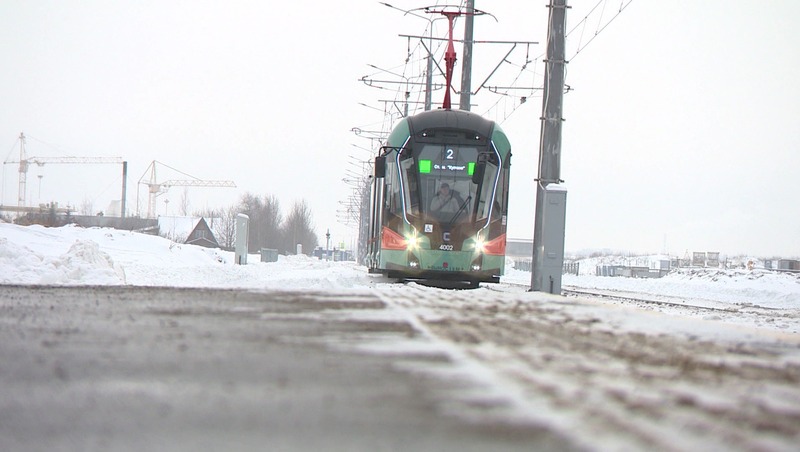 Трамвайную линию «Славянка» планируют продлить до кампуса СПбГУ