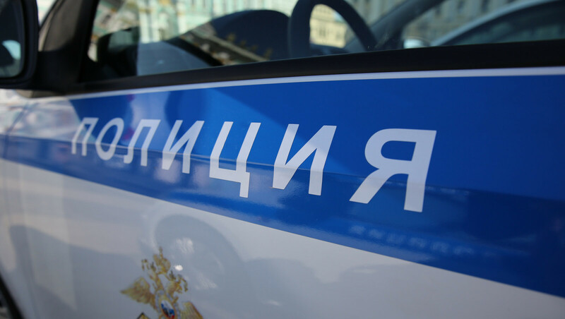 Двое подростков напали на 17-летнего петербуржца в Приморском парке