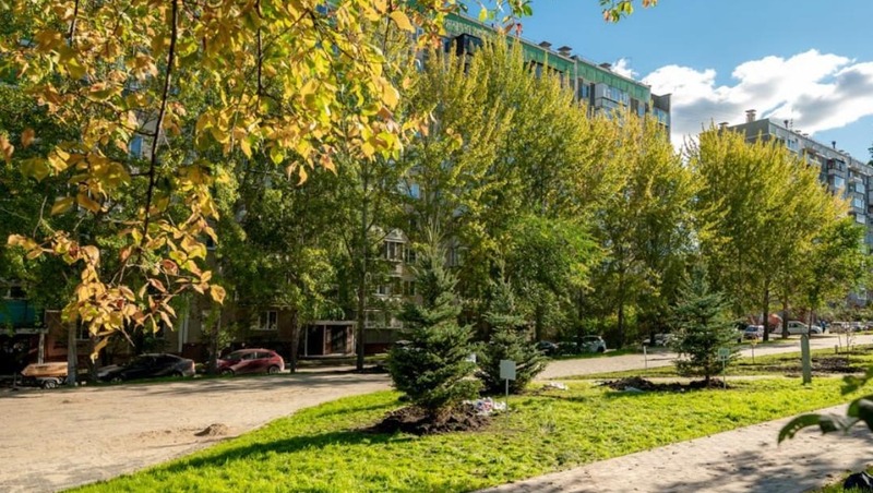 Деревья высадили на участке длиной 1 км на Аллее героев в Челябинске