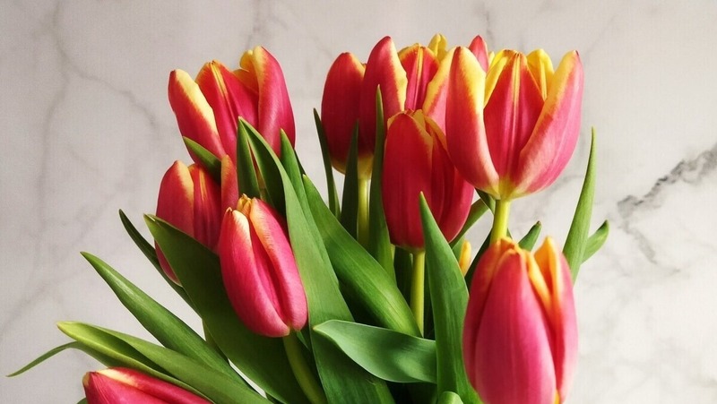 30 тонн свежих цветов из Китая прибыли в Омскую область