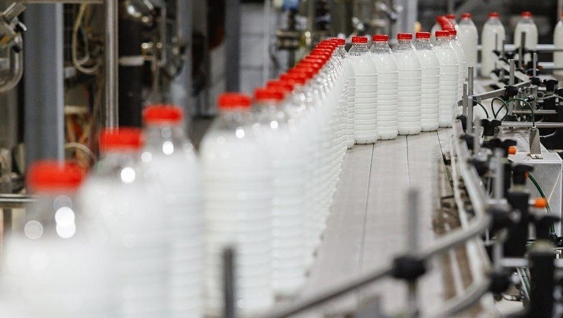 3,7% составил рост молочного животноводства в 2025 году в Рязанской области