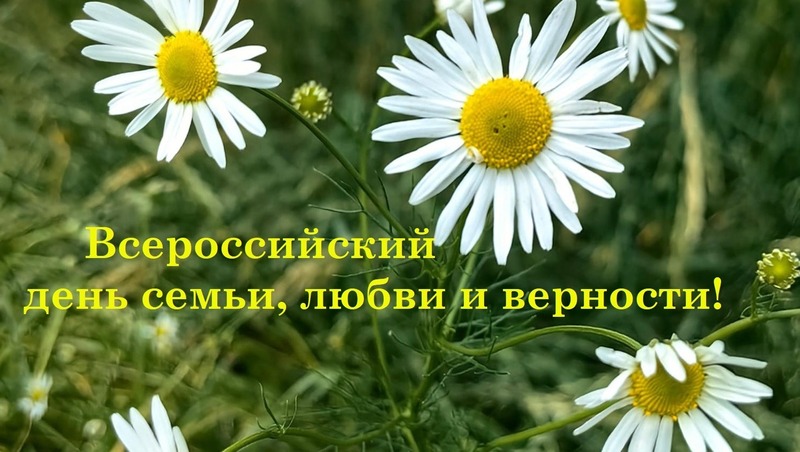 15 пар поженятся в День Семьи, любви и верности в Елабуге