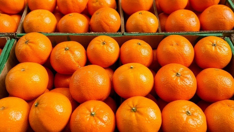 Более 126 тыс. тонн мандаринов ввезли с начала 2025 года в Петербург