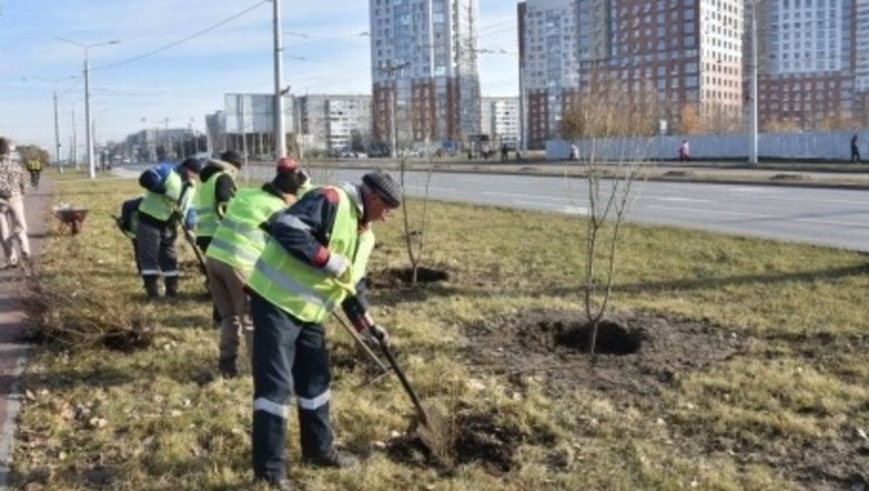 Более 10 тыс. растений планируется высадить в Омске