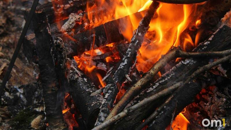 В Омской области при пожаре в доме погибли мужчина и женщина