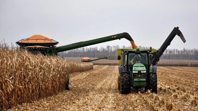 Рекордные 3,2 млн тонн зерна собрали в 2025 году в Рязанской области
