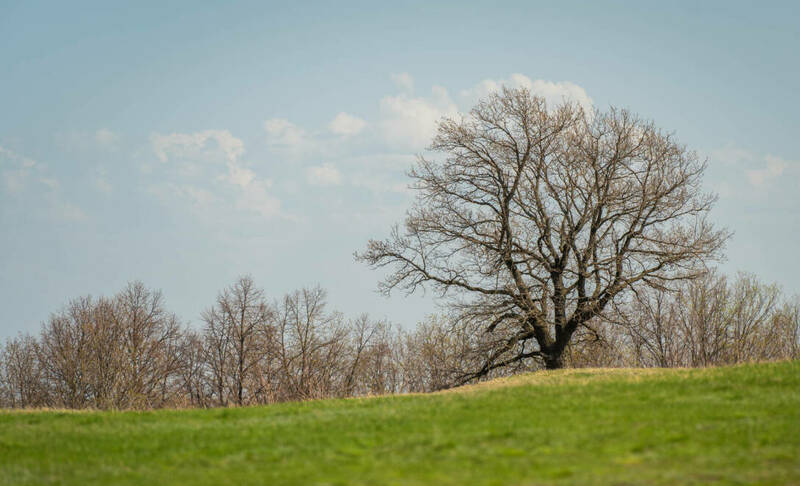 Короткие рабочие недели установили в апреле в Татарстане