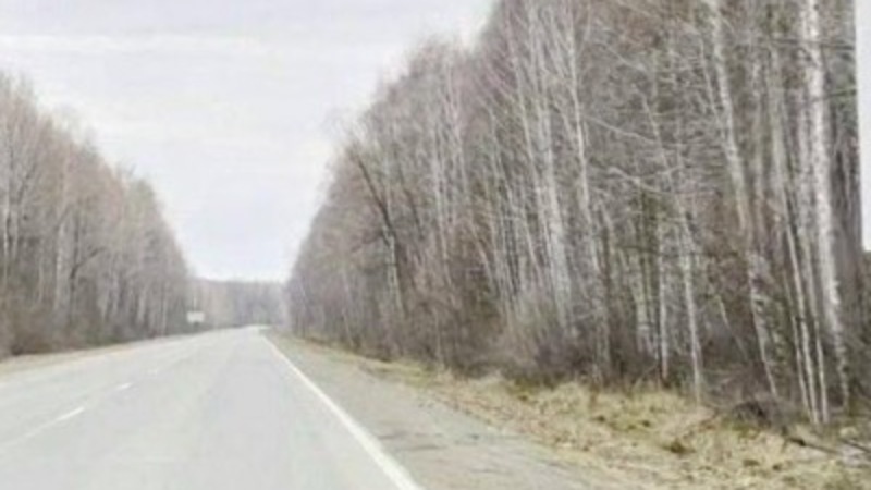 Хоценко: Завершен ремонт участка дороги Тара — Усть-Ишим