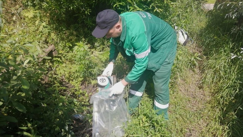 Около 20 тонн опасных отходов собрали за неделю в Петербурге