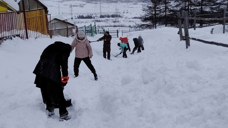 Магаданские студенты помогли освободить конный двор от снега