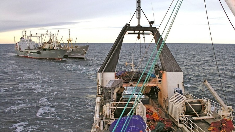 Конфликт моряков закончился поножовщиной на корабле в Магаданской области