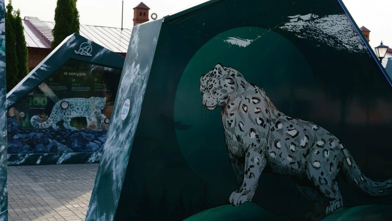 Казанский школьник победил в межрегиональном конкурсе в поддержку снежного барса