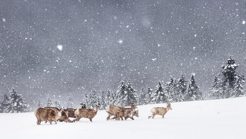 Куда поехать в России зимой: ТОП‑15 самых красивых и интересных мест