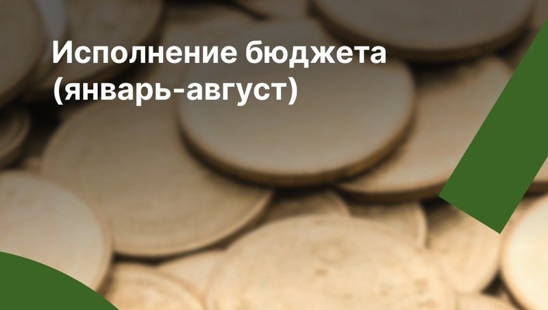 На 6,9% выросли доходы бюджета за восемь месяцев в Петербурге