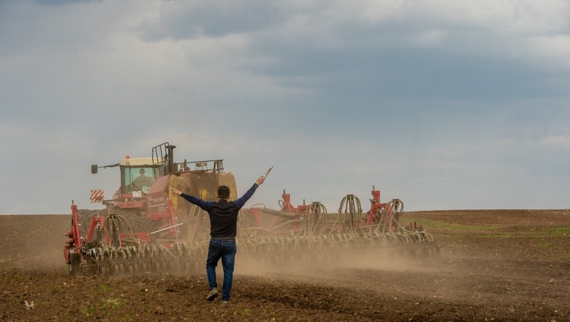 Около 820 тыс. га засеют зерновыми культурами в Татарстане в 2026 году