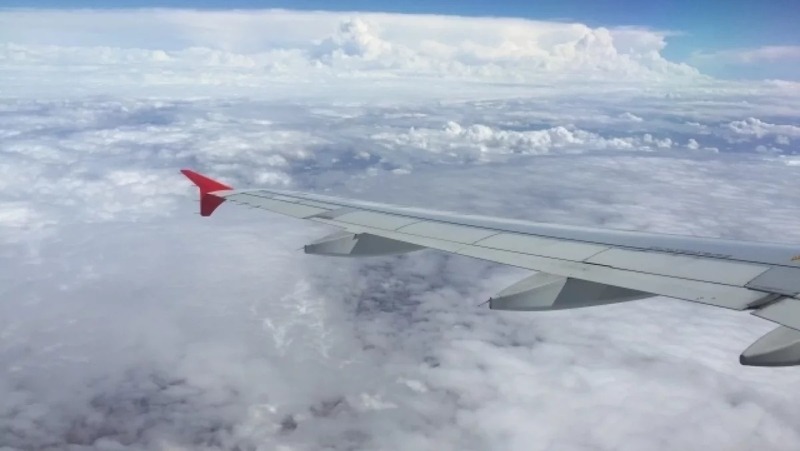 Прямые рейсы из Перми в Минск возобновят с 10 апреля