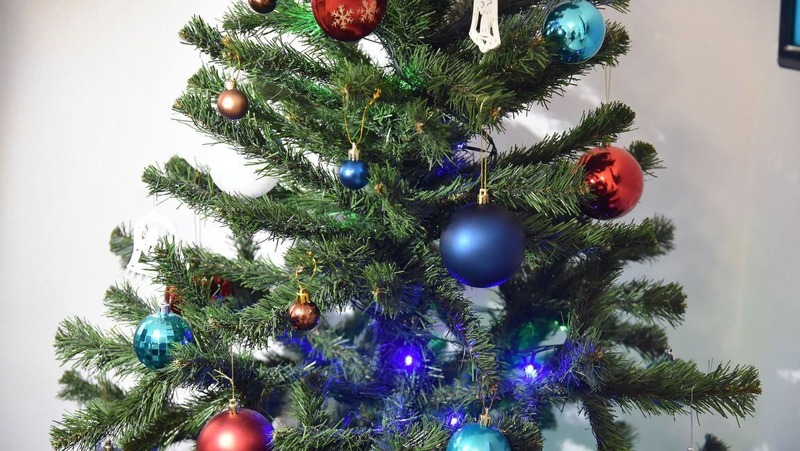 Всероссийская акция «Ёлка желаний» стартовала в Свердловской области