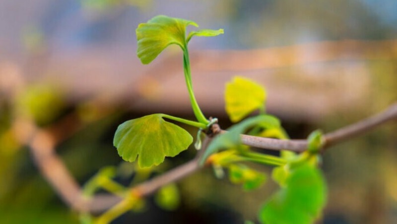 Детский музейный центр откроется сегодня на заводе Шпагина в Перми