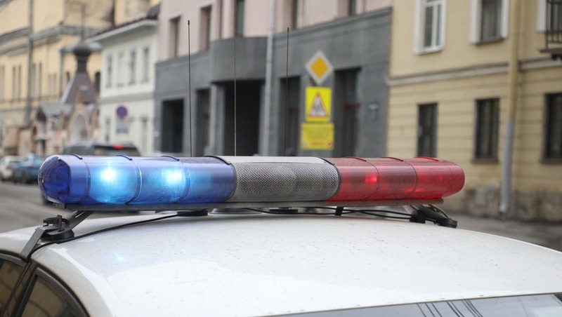 У троих петербуржцев похитили государственные награды