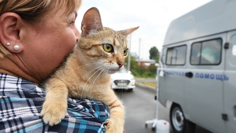 Бесплатная вакцинация домашних животных состоится 27–28 сентября в Казани