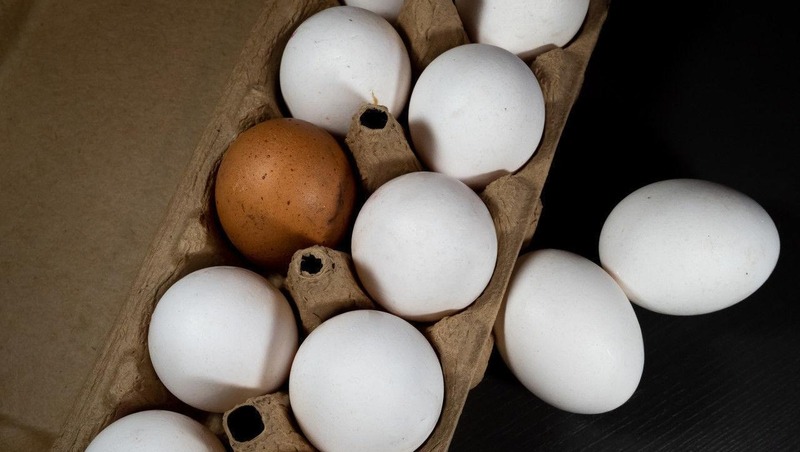 Более 1,3 млрд куриных яиц произвели с января по ноябрь в Рязанской области