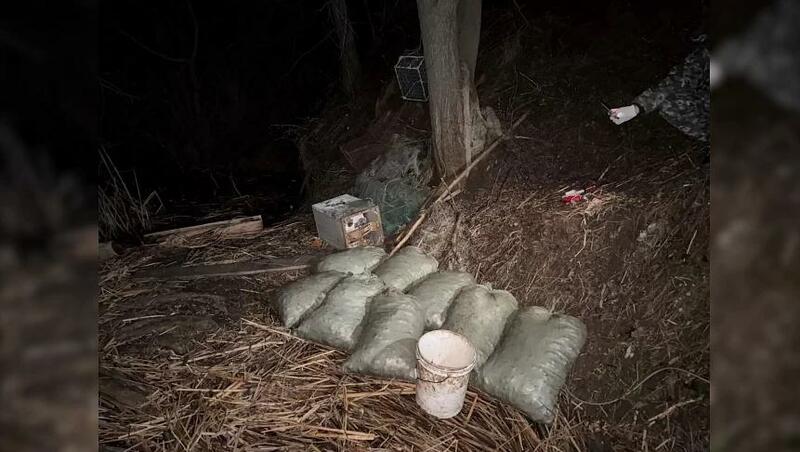 Отца с сыном задержали в Татарстане за вылов свыше 12 тысяч раков