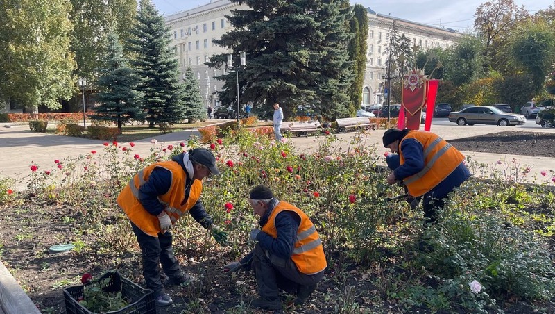 Основную обрезку роз завершили в сквере 30-летия Победы в Самаре