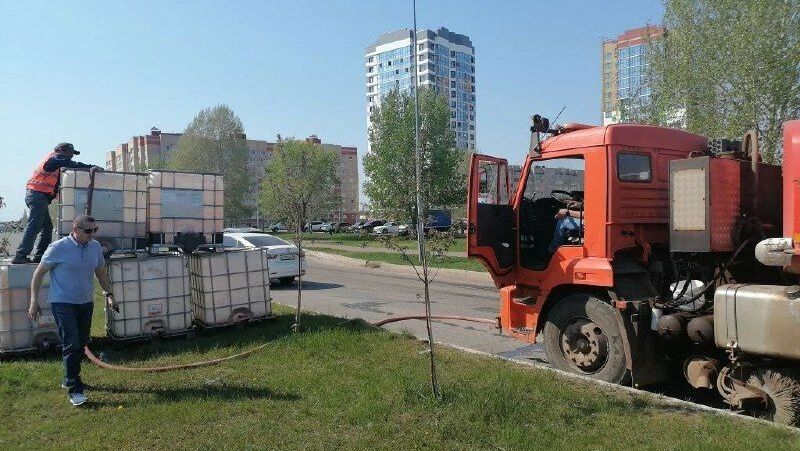Круглосуточный капельный полив обеспечит водой городские растения и деревья в Елабуге