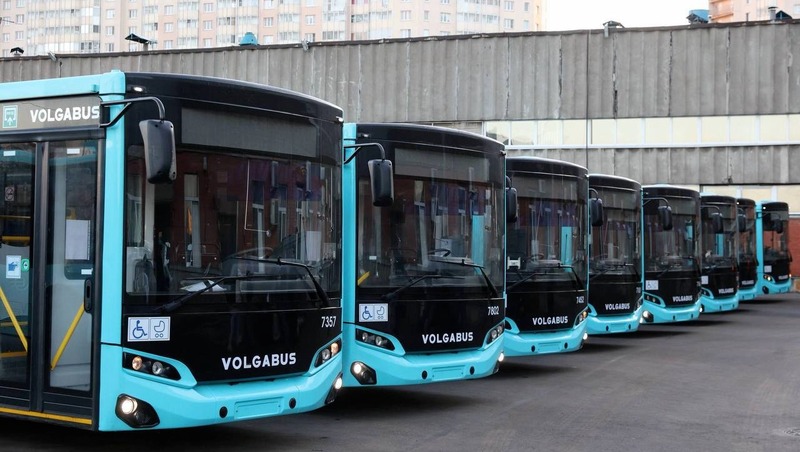 Восемь новых автобусов-«гармошек» будут курсировать на загруженных маршрутах в Петербурге