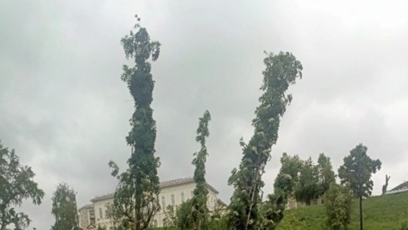 елабуга парки