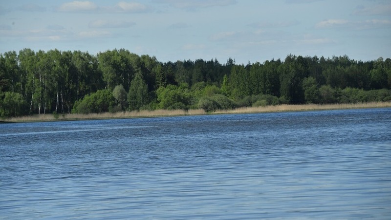 Более 120 тыс. мальков стерляди выпустят в Воткинское водохранилище в 2026 году