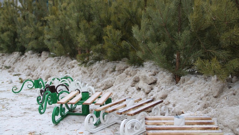 2 тыс. елок вырастили в татарстанских питомниках к Новому году