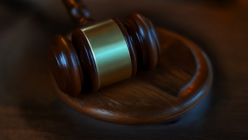 Пытавшуюся поджечь отдел полиции на Кораблестроителей осудили на 10 лет