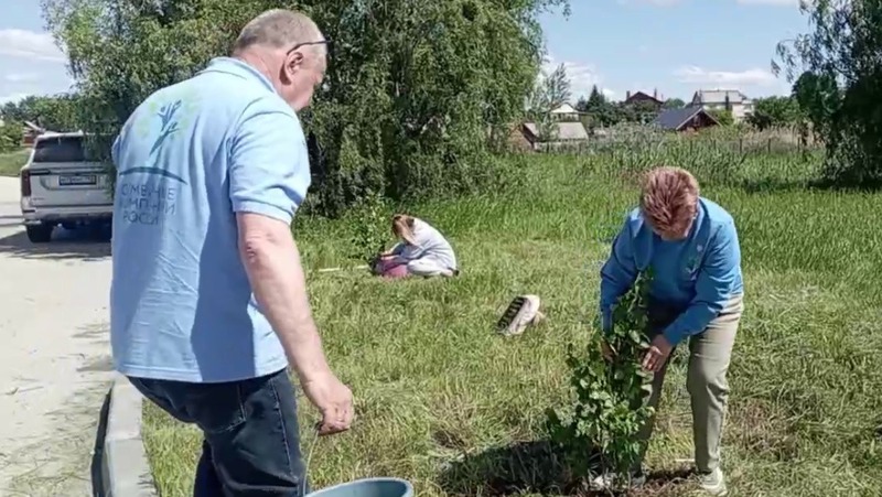 В самарском этнопарке Дружбы народов высадили березовую аллею