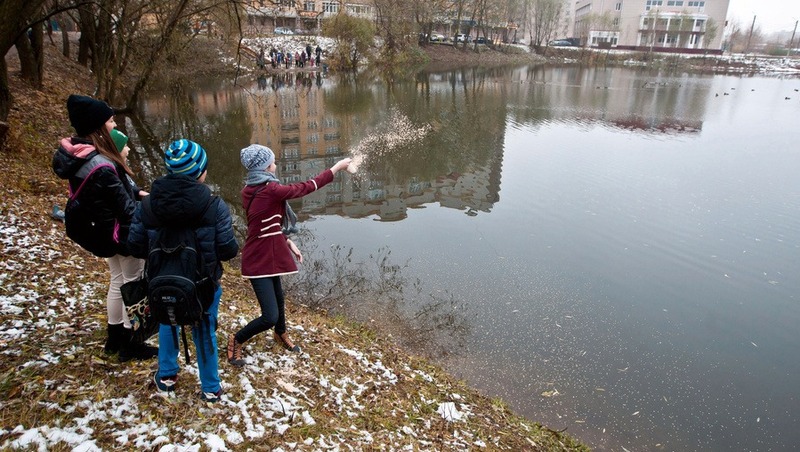 Территорию Соловьиного пруда благоустроят во Владимире к осени 2026 года