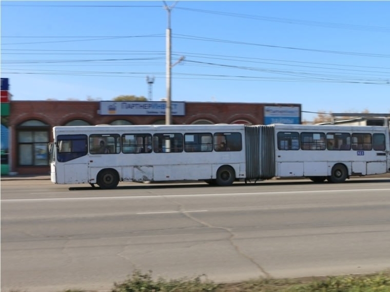 Омская мэрия подала заявку на покупку автобусов-гармошек 