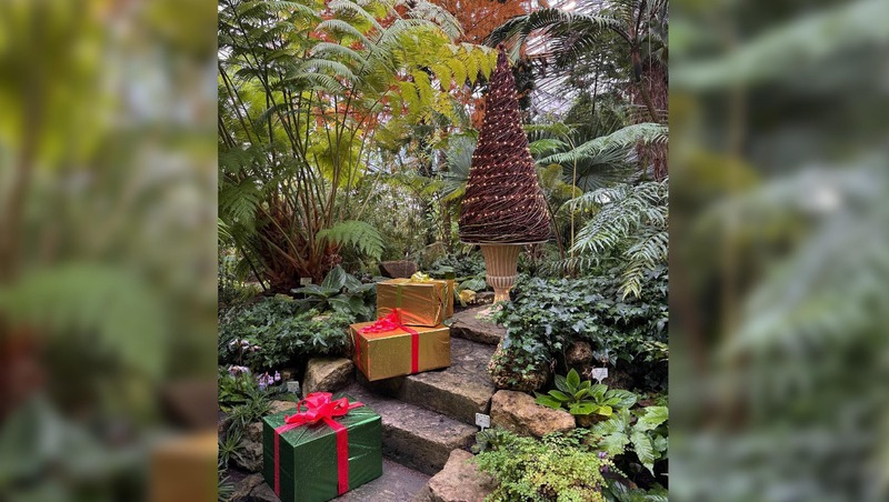 Рождественская ярмарка открылась в Ботаническом саду Петербурга